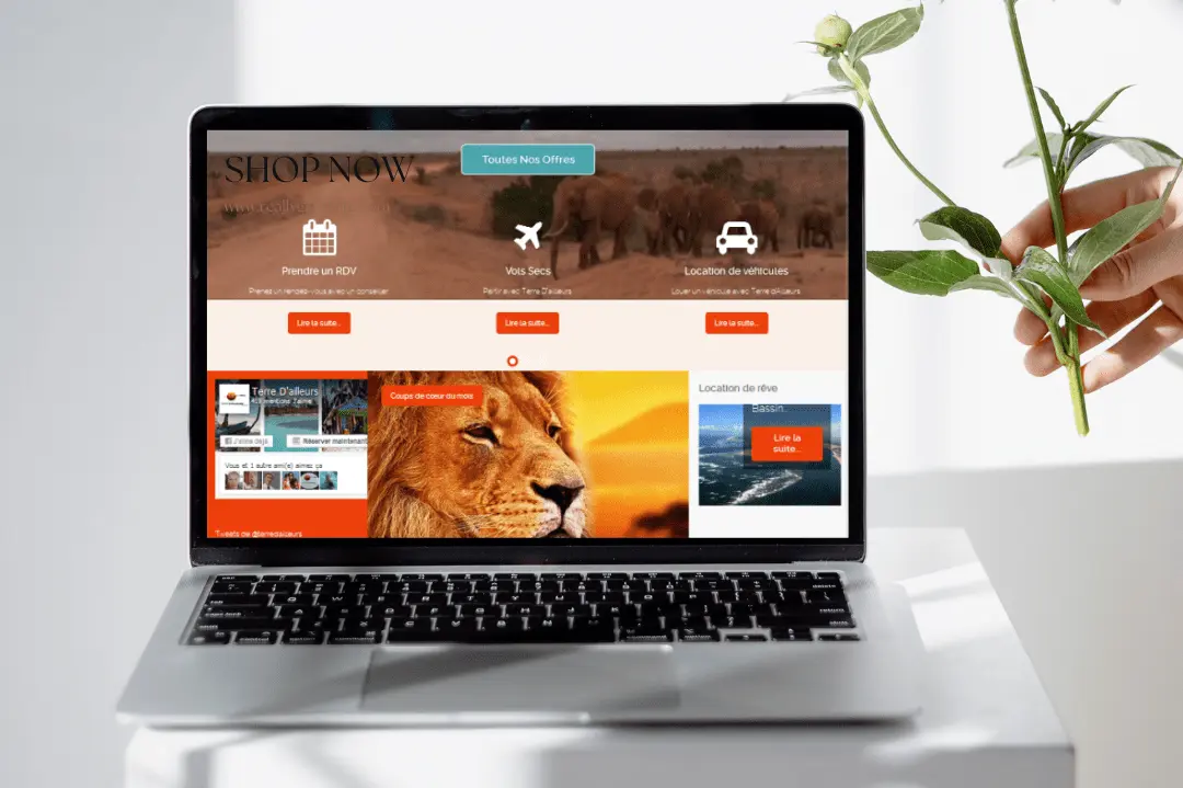 Site Internet réalisé pour l'agence de voyage Terres d'ailleurs