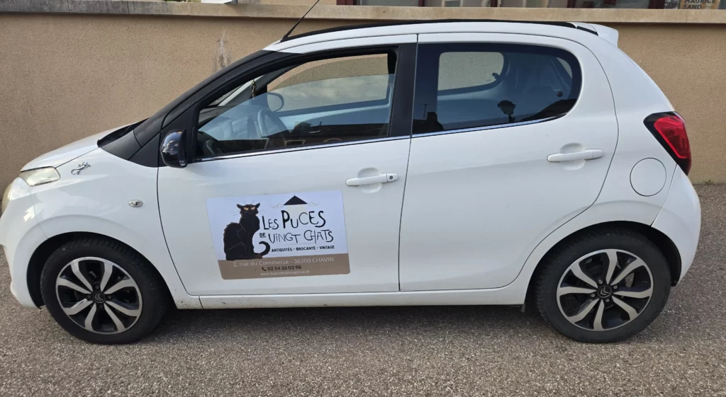 Conception graphique d'une Plaque aimantée de véhicule réalisée par Nexphasis informatique pour Les Puces de Vingt Chats