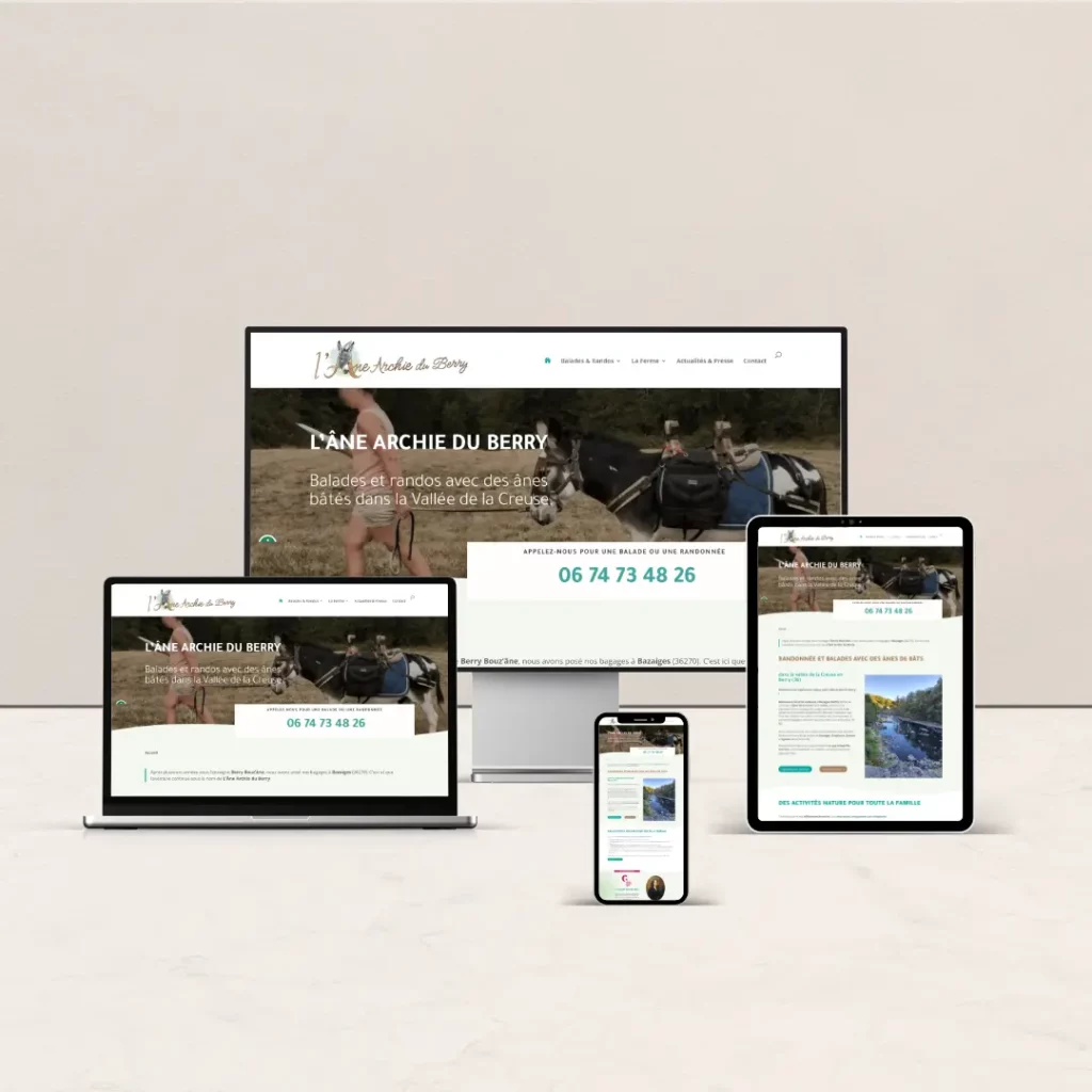 Site vitrine L'Âne Archie du Berry réalisé par Nexphasis