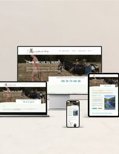 Site vitrine L'Âne Archie du Berry réalisé par Nexphasis