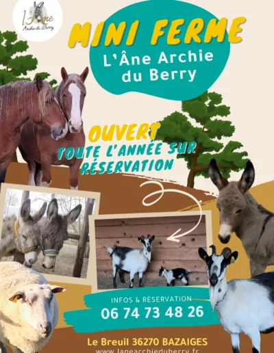 Flyer réalisé par Nexphasis informatique pour l'âne Archie du Berry