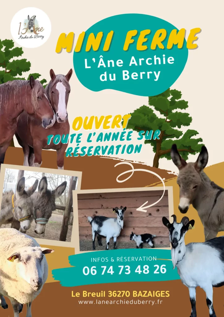Flyer réalisé par Nexphasis informatique pour l'âne Archie du Berry