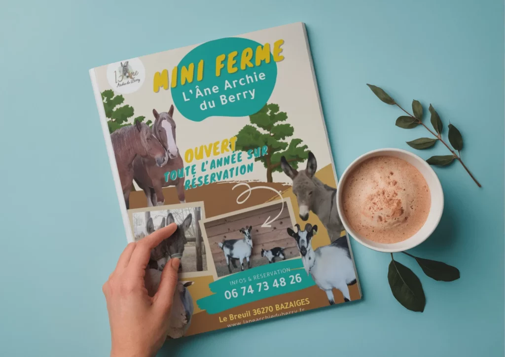 Flyer réalisé par Nexphasis informatique pour l'âne Archie du Berry