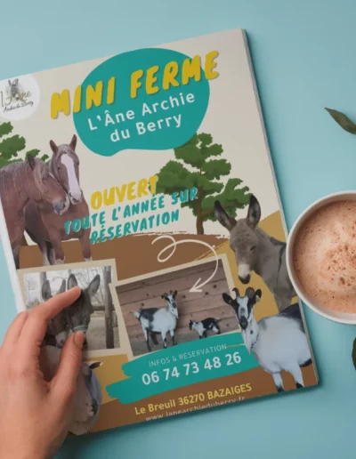 Flyer réalisé par Nexphasis informatique pour l'âne Archie du Berry